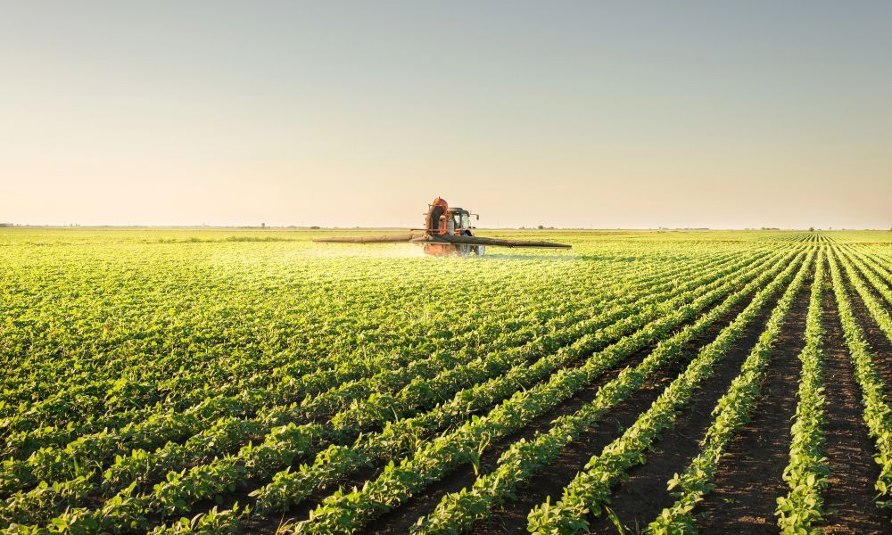 Landwirtschaft - WAiSCH