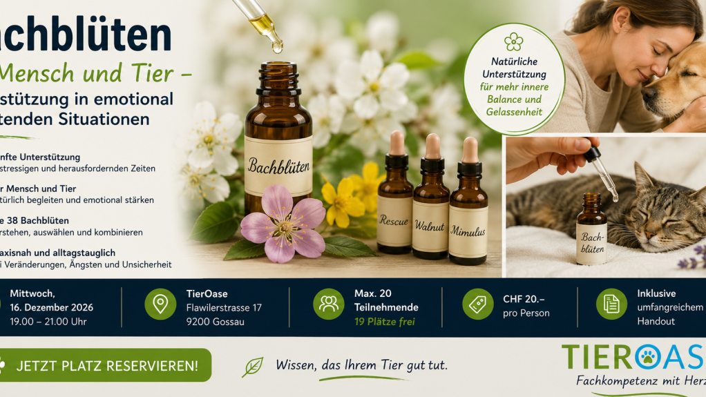 Bachblüten bei Mensch und Tier – Unterstützung in emotional belastenden Situationen - WAiSCH