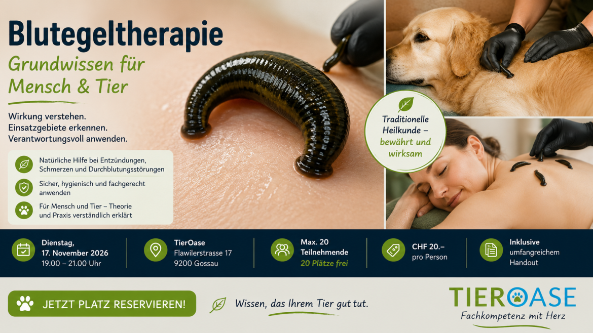 Blutegeltherapie – Grundwissen für Mensch & Tier - WAiSCH