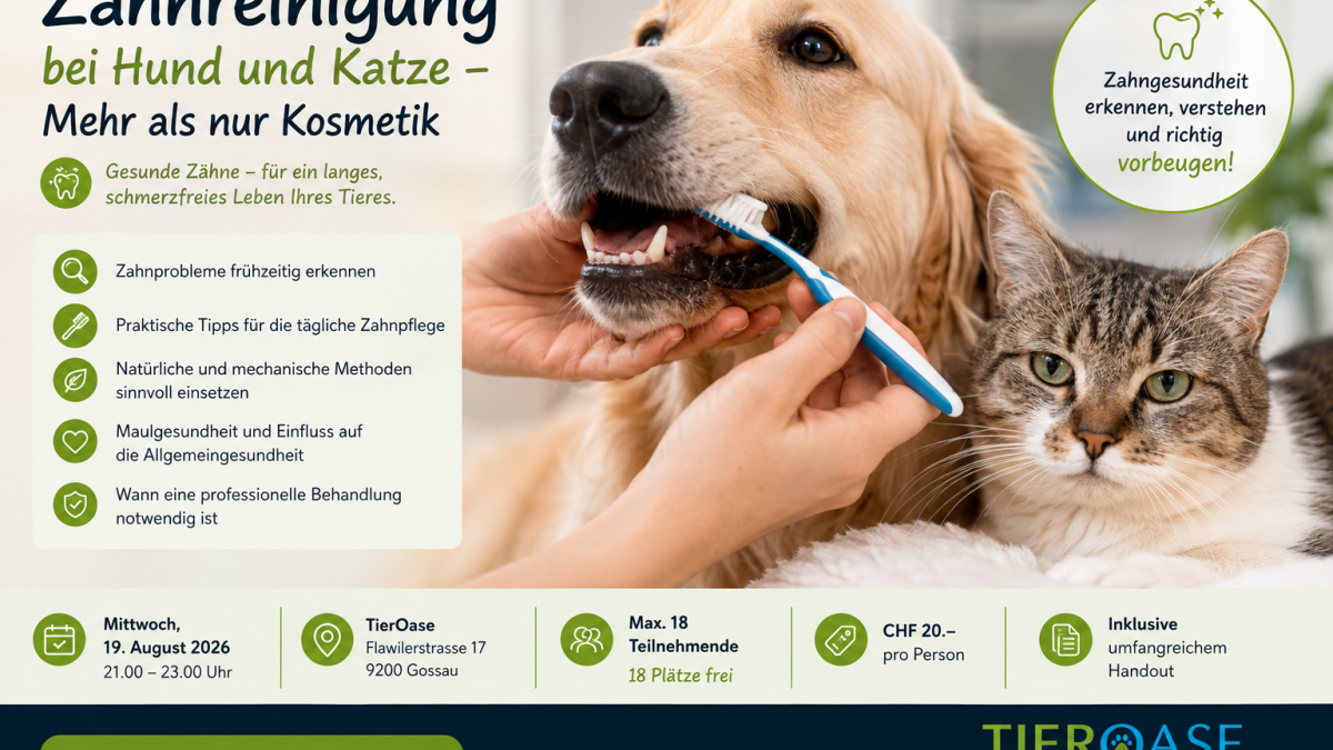 Zahnreinigung bei Hund und Katze – Mehr als nur Kosmetik - WAiSCH