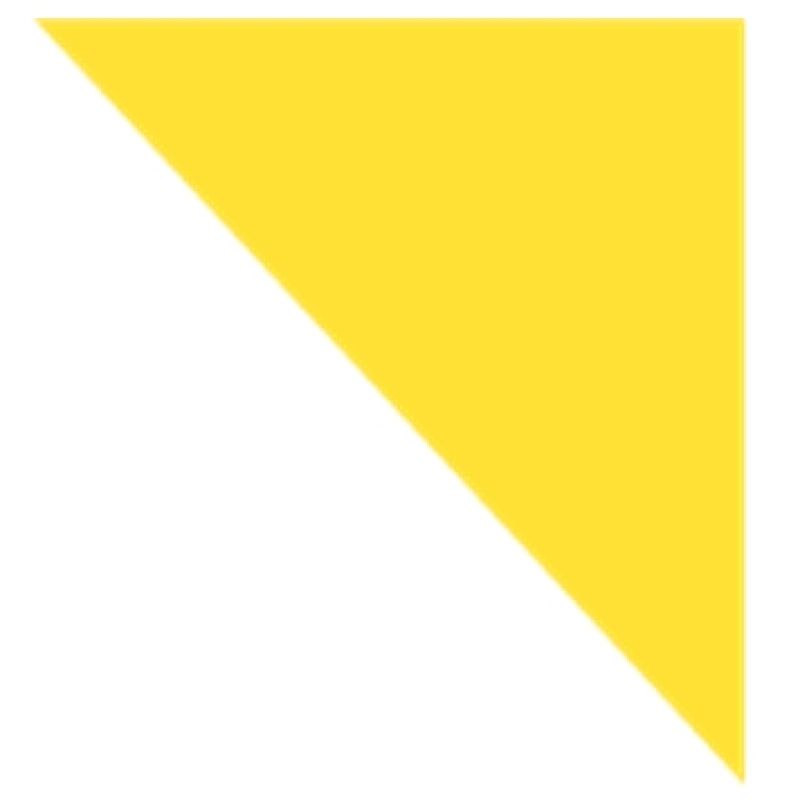 Protectiones Cojones AG