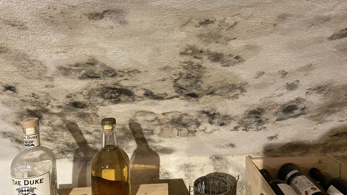 Abdichtung gegen Feuchtigkeit, Hochwirksamer, ökologischer Sanierputz gegen Feuchtigkeit und Schimme - WAiSCH