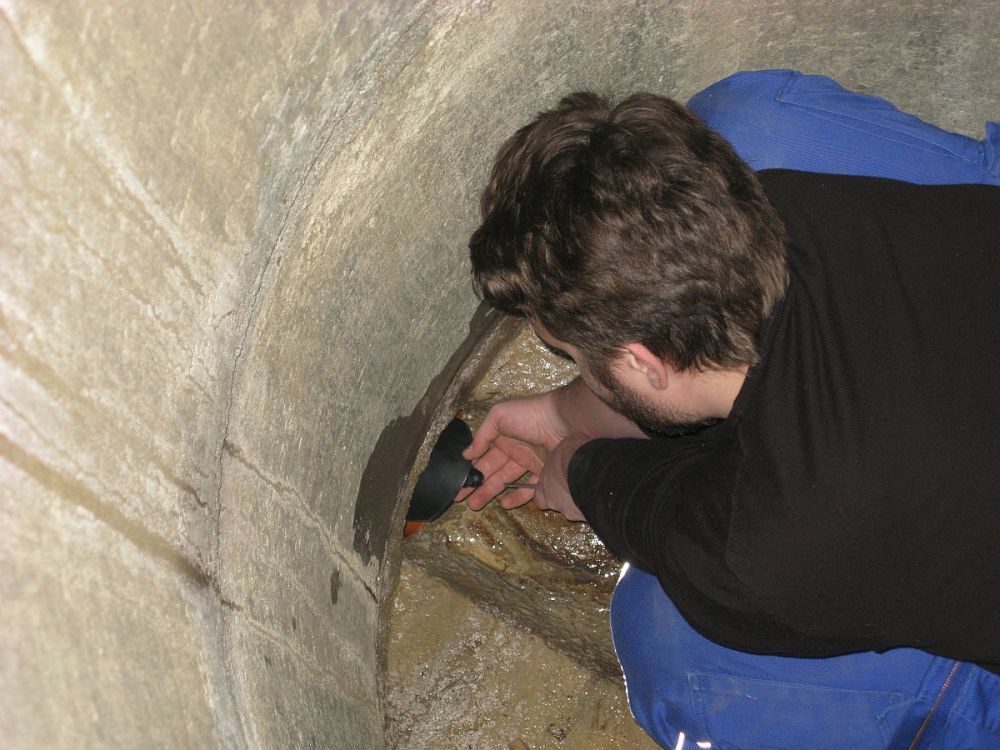 In Rekordzeit montiert, ohne bauliche Anpassungen - WAISCH